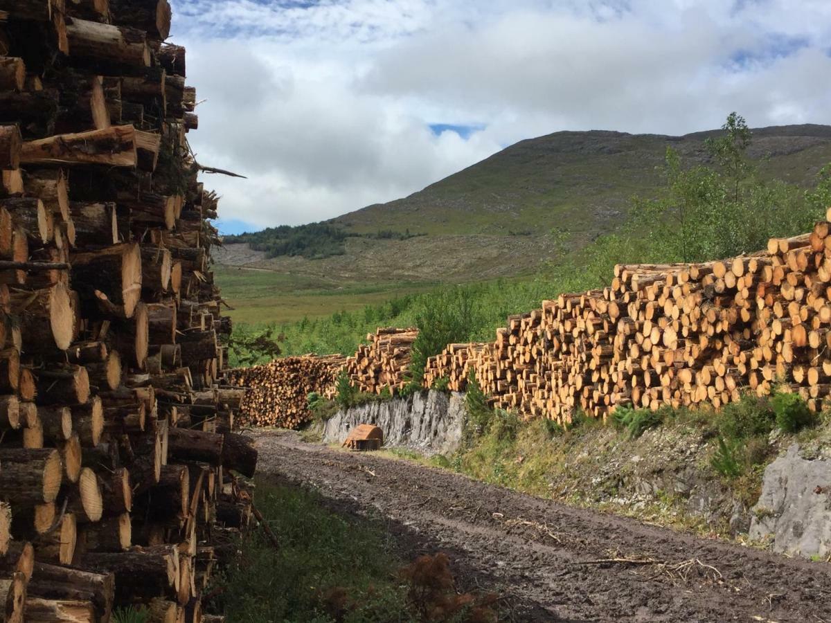 Alaind Lodges, Sneem Eksteriør bilde